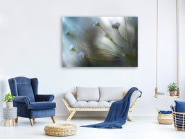 canvas-print-jasmine