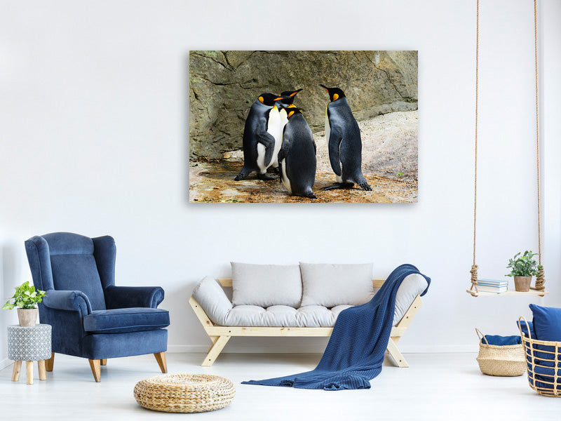 canvas-print-king-penguins