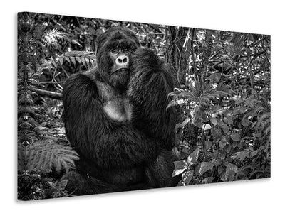 canvas-print-kwitonda-silverback