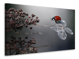 canvas-print-ladybird-on-hydrangea