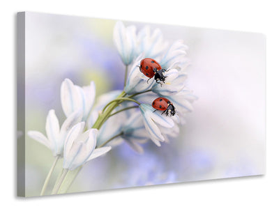 canvas-print-ladybirds