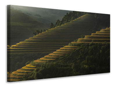 canvas-print-landing-fields-at-sunrise-beautiful-golden-light-shines