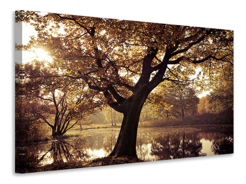 canvas-print-landscape-park