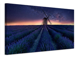 canvas-print-lavender-night-x