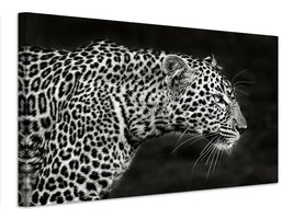 canvas-print-leopard-close-up-x