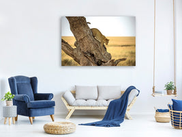 canvas-print-leopard-serengheti-tanzania