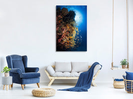 canvas-print-life-explosion-ii