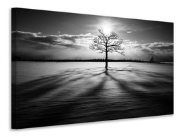 canvas-print-light-iv