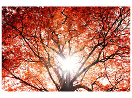 canvas-print-light-of-autumn