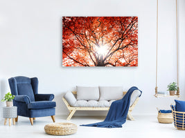 canvas-print-light-of-autumn