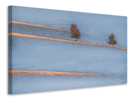 canvas-print-light-traces