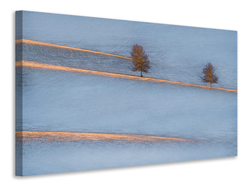 canvas-print-light-traces