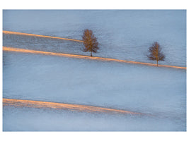 canvas-print-light-traces