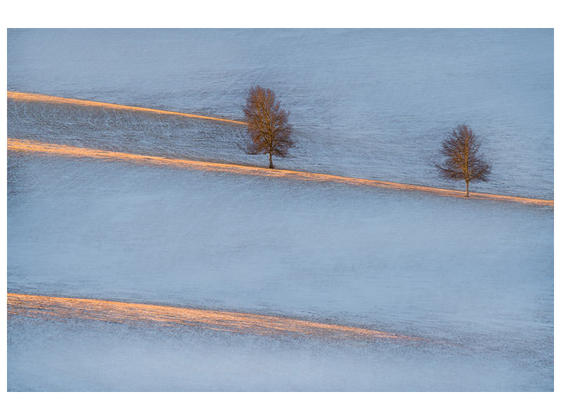 canvas-print-light-traces