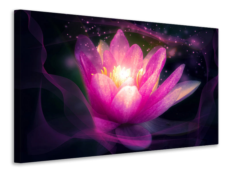 canvas-print-lily-in-the-light-play