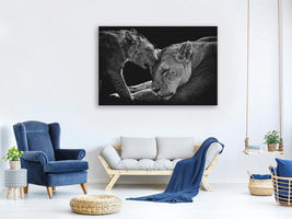 canvas-print-lion-family-x