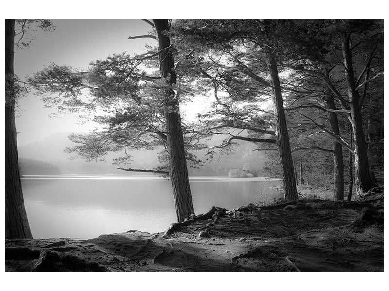 canvas-print-loch-an-eilein