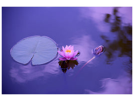 canvas-print-lotus-flower