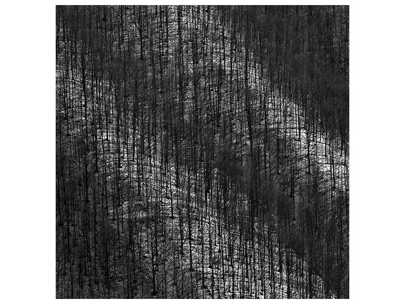 canvas-print-luci-e-ombre