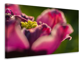 canvas-print-macro-tulip-in-red