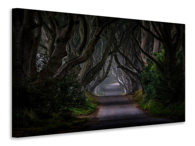 canvas-print-magic-road