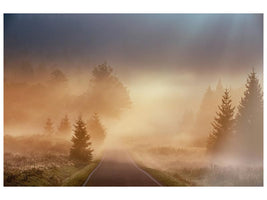 canvas-print-magical-morning-x