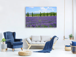 canvas-print-magnificent-lavender-field