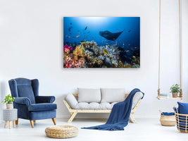 canvas-print-manta-reef-on-the-reef-x