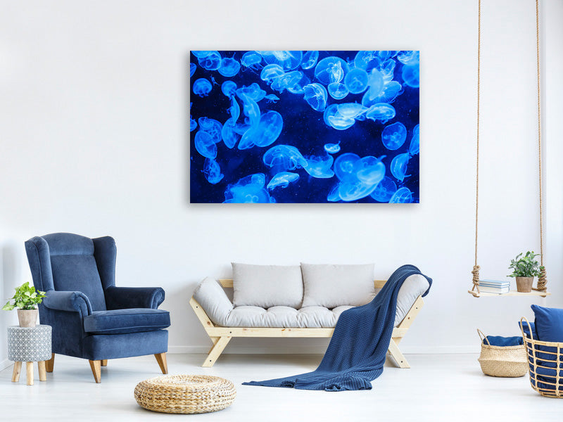 canvas-print-many-jellyfish-in-the-blue-water