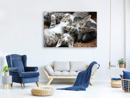 canvas-print-many-kittens