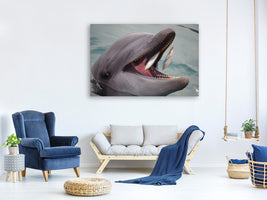 canvas-print-mealtime-for-a-dolphin