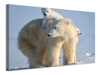 canvas-print-mischievous-little-polar-bear-x