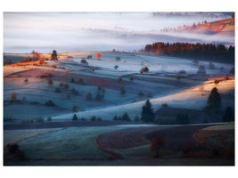 canvas-print-mist