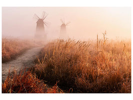 canvas-print-morning-mist-x