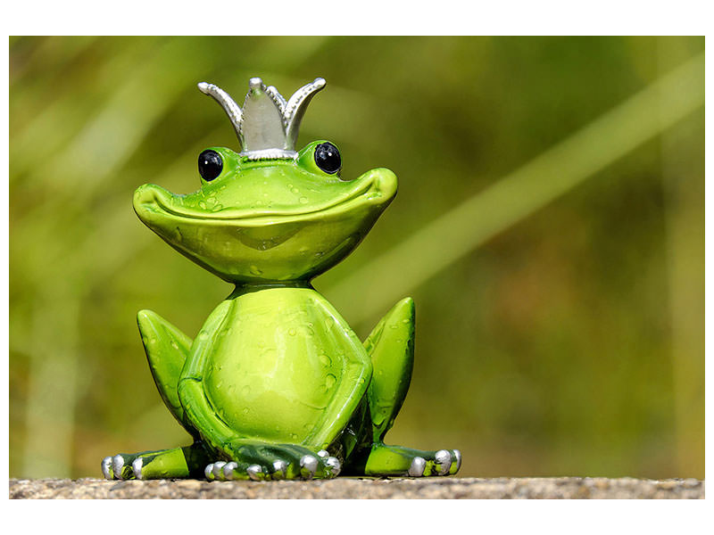 canvas-print-mr-frog-king