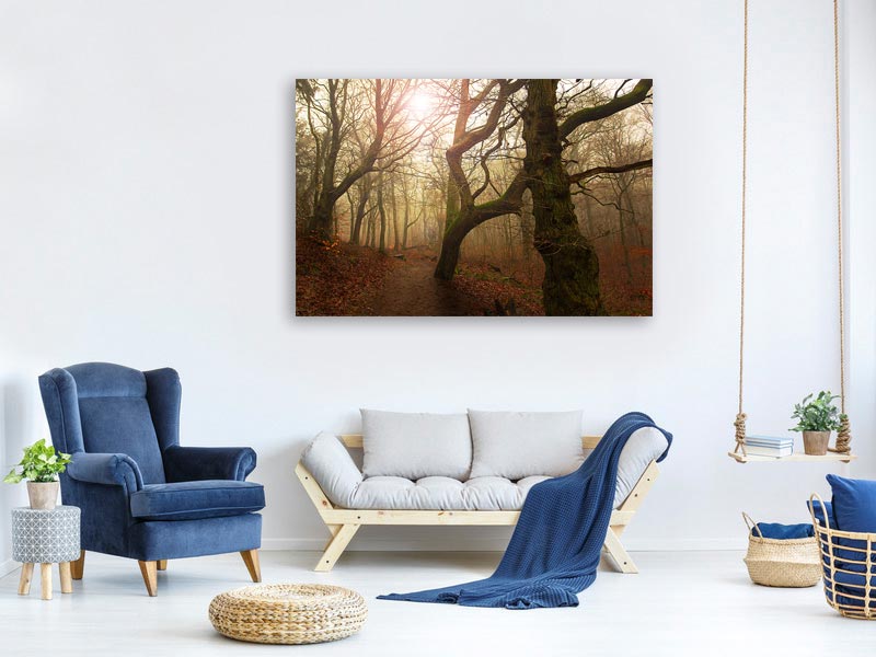 canvas-print-my-autumn-walk-x