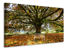 canvas-print-my-favorite-tree