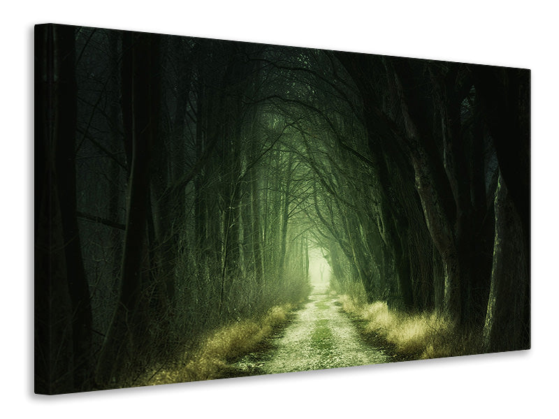 canvas-print-mysterious-forest-iii