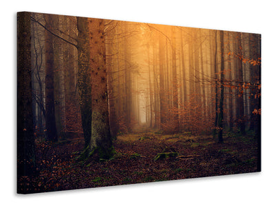 canvas-print-mysterious-forest