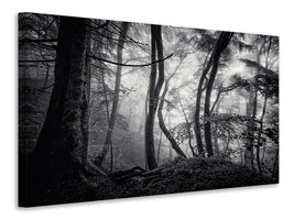 canvas-print-mysterious-light