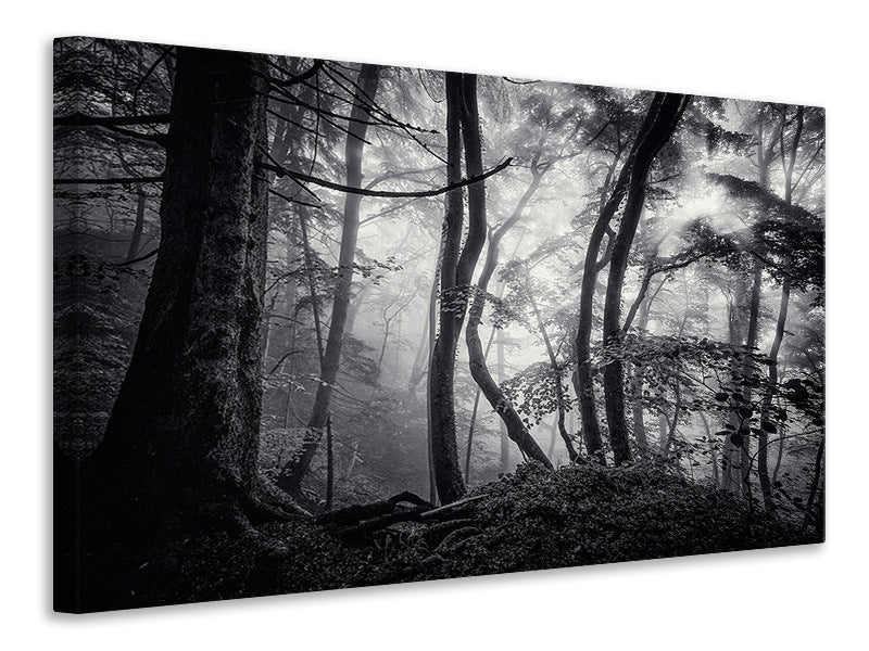 canvas-print-mysterious-light
