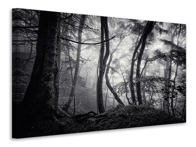 canvas-print-mysterious-light