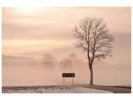 canvas-print-mystic-mood-in-nature