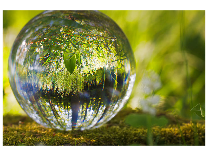 canvas-print-nature-ball