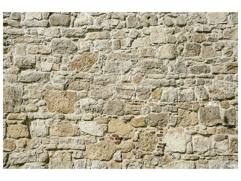 canvas-print-nature-wall