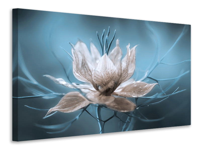 canvas-print-nigella