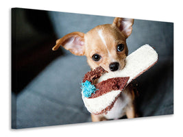 canvas-print-obedient-chihuahua