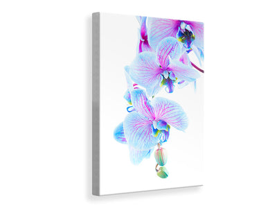 canvas-print-orchid-butterfly