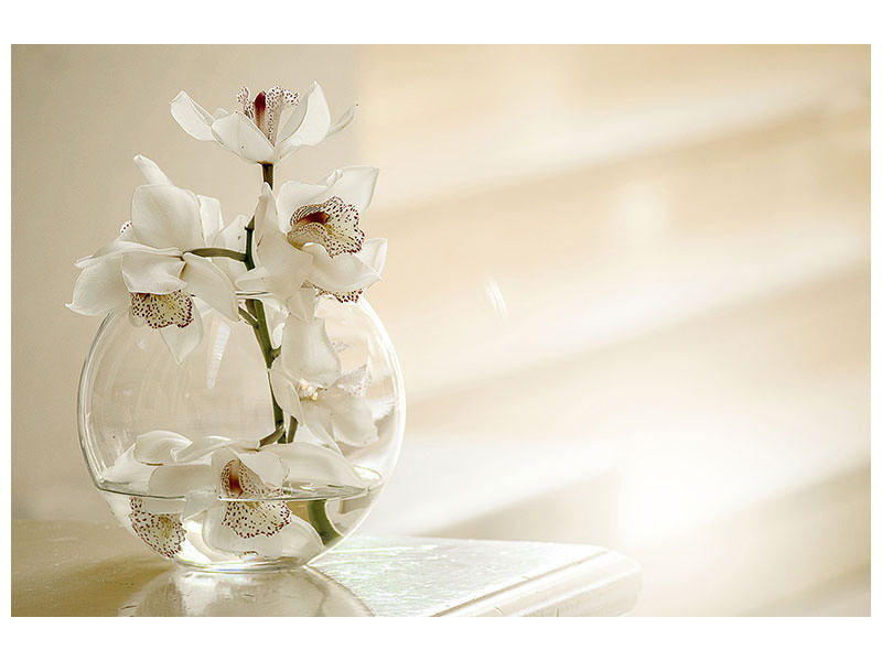 canvas-print-orchid-in-the-glass