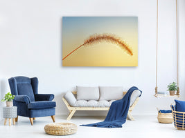 canvas-print-ornamental-grass-in-xxl